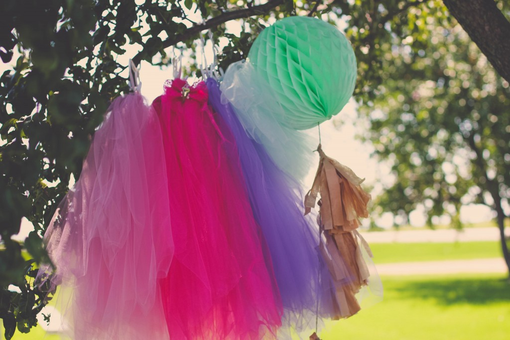 A tutu and bow tie party.  www.homestead128.com