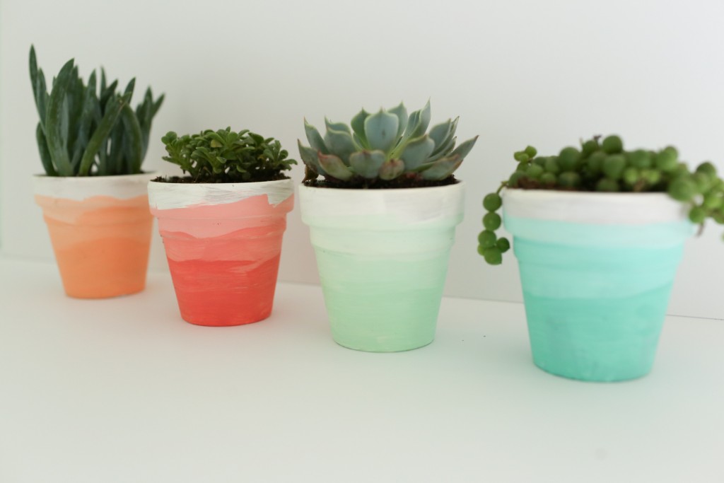 A DIY tutorial that shows you how to create these ombre succulent pots. Perfect for your home or for a party! www.homestead128.com