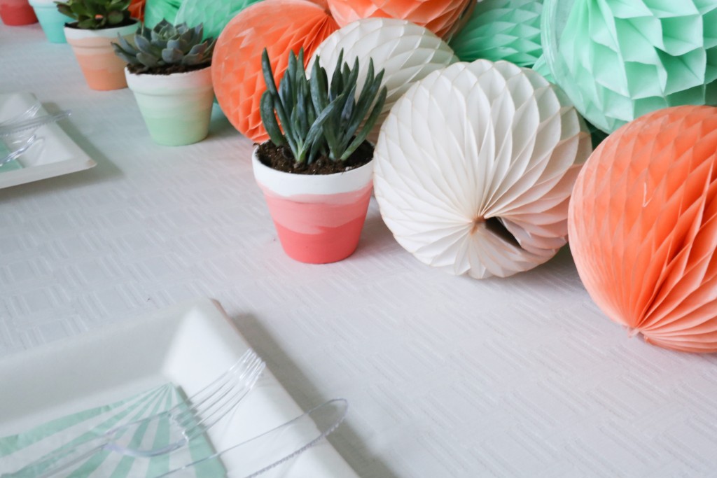 A DIY tutorial that shows you how to create these ombre succulent pots.  Perfect for your home or for a party!   www.homestead128.com