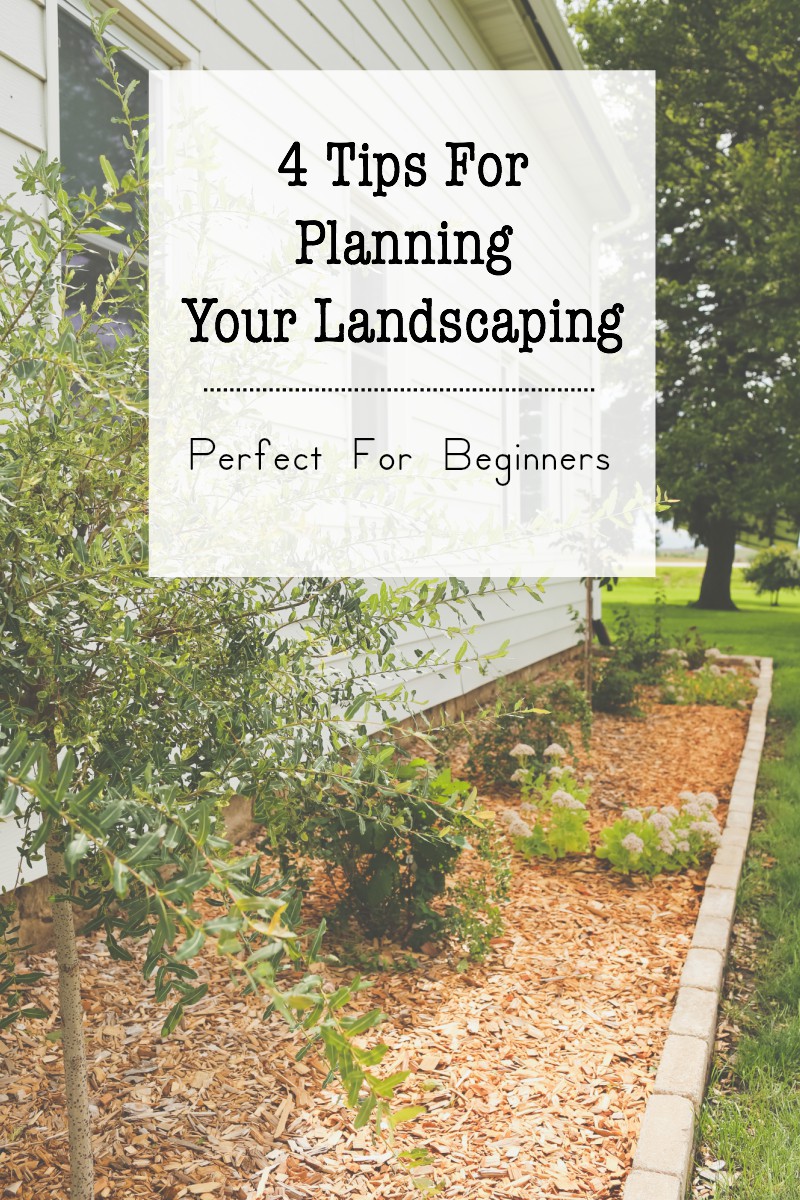4 Tips For Starting Your Landscaping